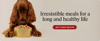 irresistible-meals-for-long-life-destop-ad.png